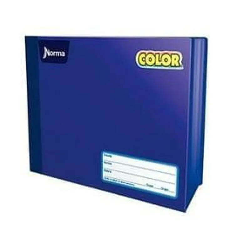 (RAYAS) CUADERNO  ITALIANO PROFESIONAL NORMA CON 100 HOJAS MOD# 812956 12