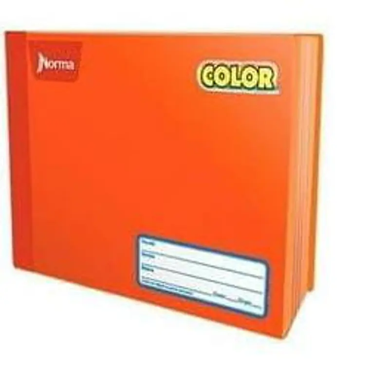 (RAYAS) CUADERNO  ITALIANO PROFESIONAL NORMA CON 100 HOJAS MOD# 812956 13