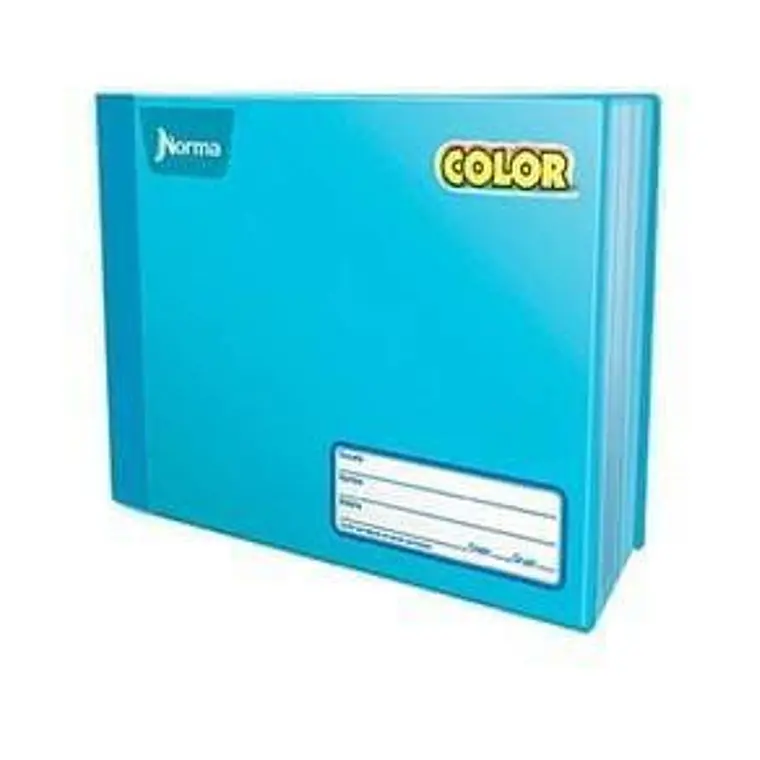 (RAYAS) CUADERNO  ITALIANO PROFESIONAL NORMA CON 100 HOJAS MOD# 812956 15