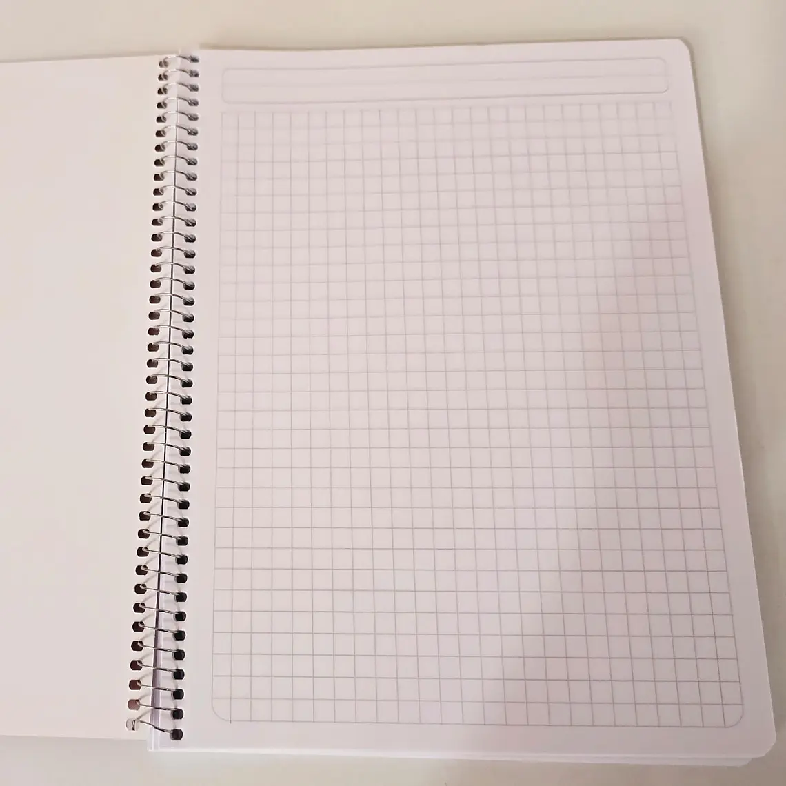 (RAYAS) o (CUADROS)  LIBRETA ECONÓMICA PROFESIONAL SWING BOOK CON 100 HOJAS COLORES LISOS MOD# 08070 ó 08073 6