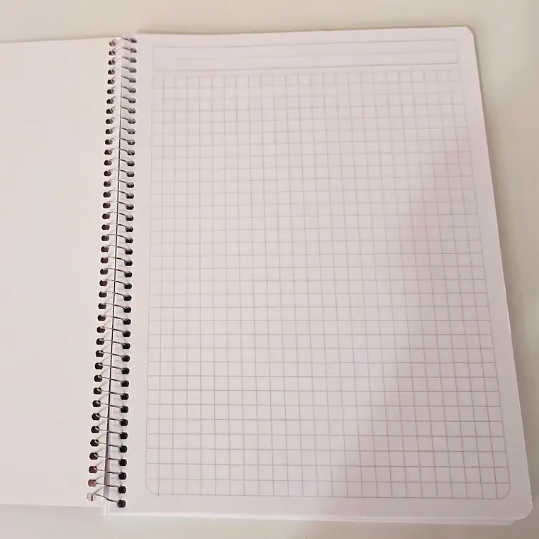 (RAYAS) o (CUADROS)  LIBRETA ECONÓMICA PROFESIONAL SWING BOOK CON 100 HOJAS COLORES LISOS MOD# 08070 ó 08073 6