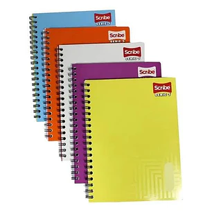 (RAYA ) LIBRETA ESCRIBE SERIE ROFESIONAL CON 100 HOJAS MOD# 9650