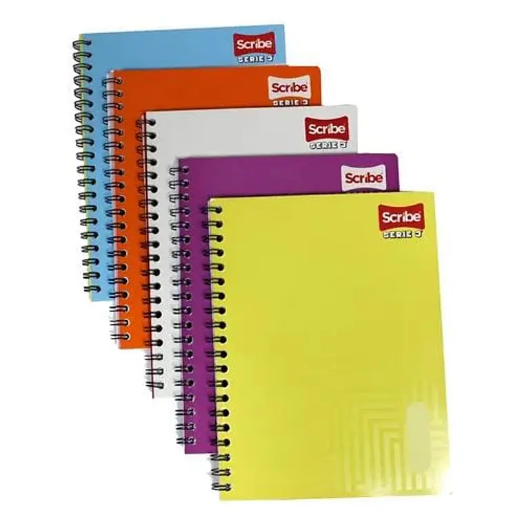 (RAYA ) LIBRETA ESCRIBE SERIE ROFESIONAL CON 100 HOJAS MOD# 9650 1