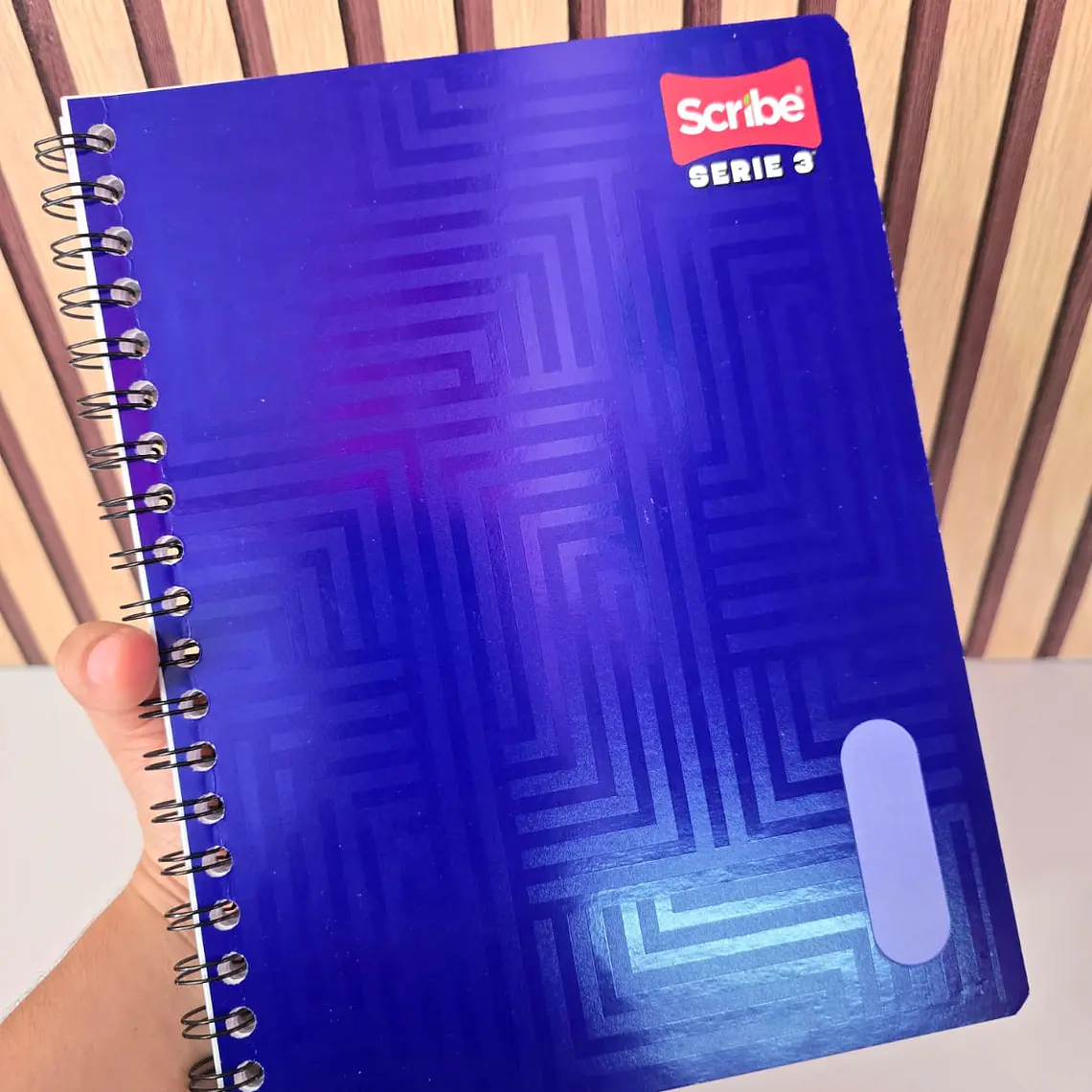 (RAYA ) LIBRETA ESCRIBE SERIE ROFESIONAL CON 100 HOJAS MOD# 9650 5