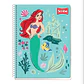 (CUADROS C7) LIBRETA PROFESIONAL DISEÑO PRINCESAS CON 90 HOJAS MOD# 9853 - Miniatura 2