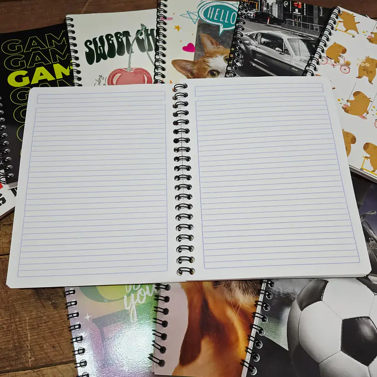 (RAYA) LIBRETA PROFESIONAL SMART Y CON 100 HOJAS MOD# 08150 3