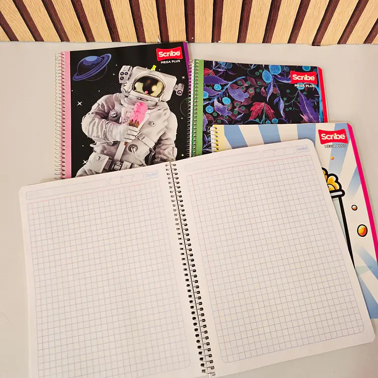 (CUADROS O RAYAS) LIBRETA PROFESIONAL CON ESPIRAL MOD# 7510 Y 7513 3
