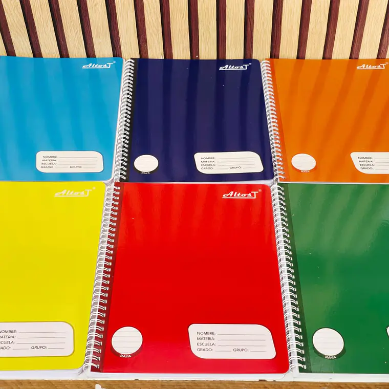 (RAYA) LIBRETA PROFESIONAL CON 100 HOJAS COLORES LISOS 
