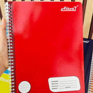 (RAYA) LIBRETA PROFESIONAL CON 100 HOJAS COLORES LISOS 