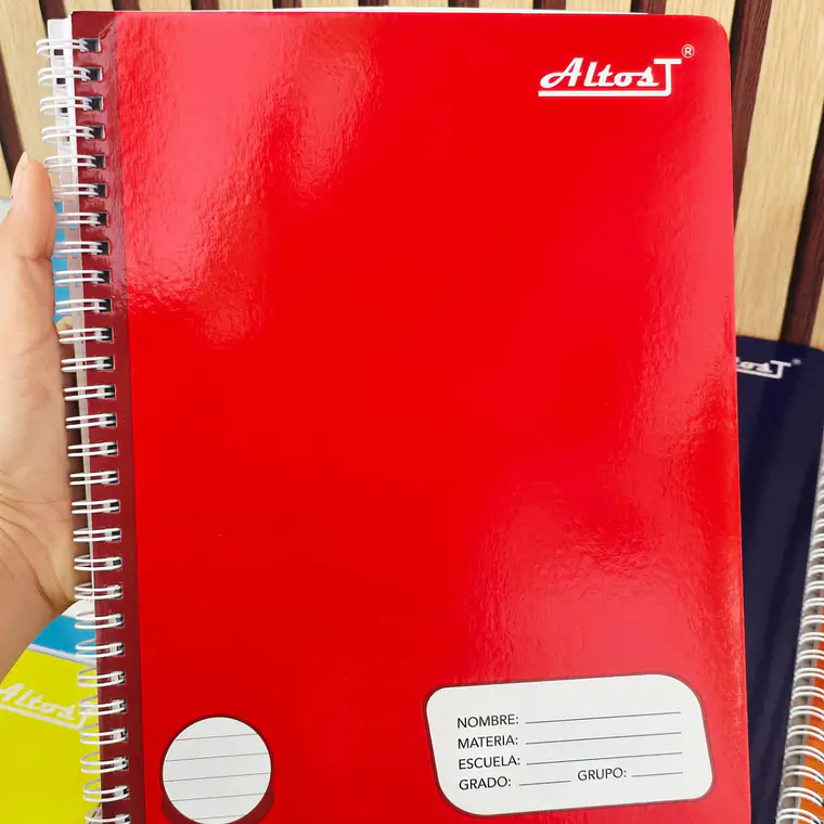 (RAYA) LIBRETA PROFESIONAL CON 100 HOJAS COLORES LISOS 