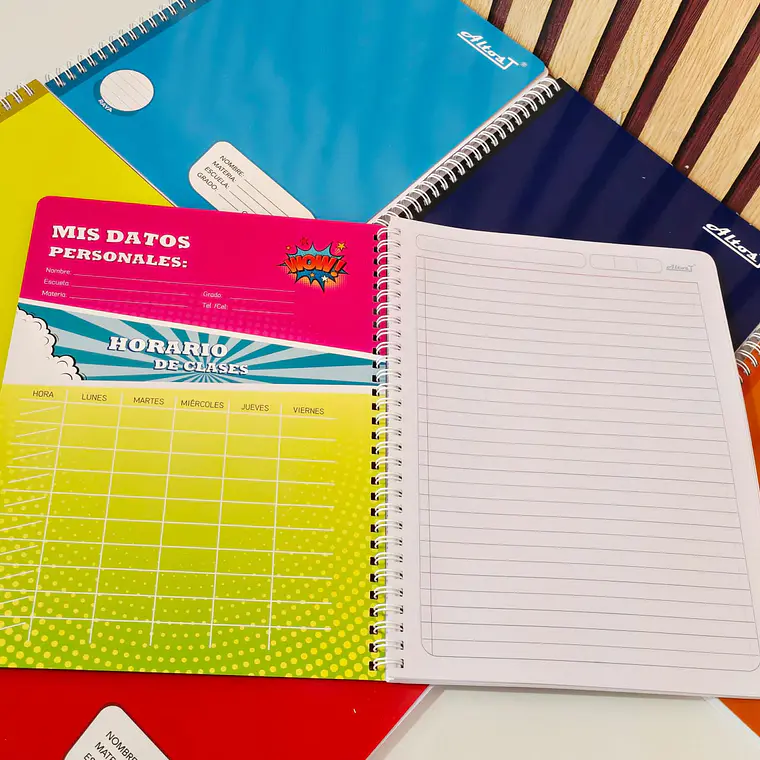 (RAYA) LIBRETA PROFESIONAL CON 100 HOJAS COLORES LISOS 