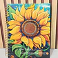 (RAYAS) LIBRETA PROFESIONAL CON 200 HOJAS 