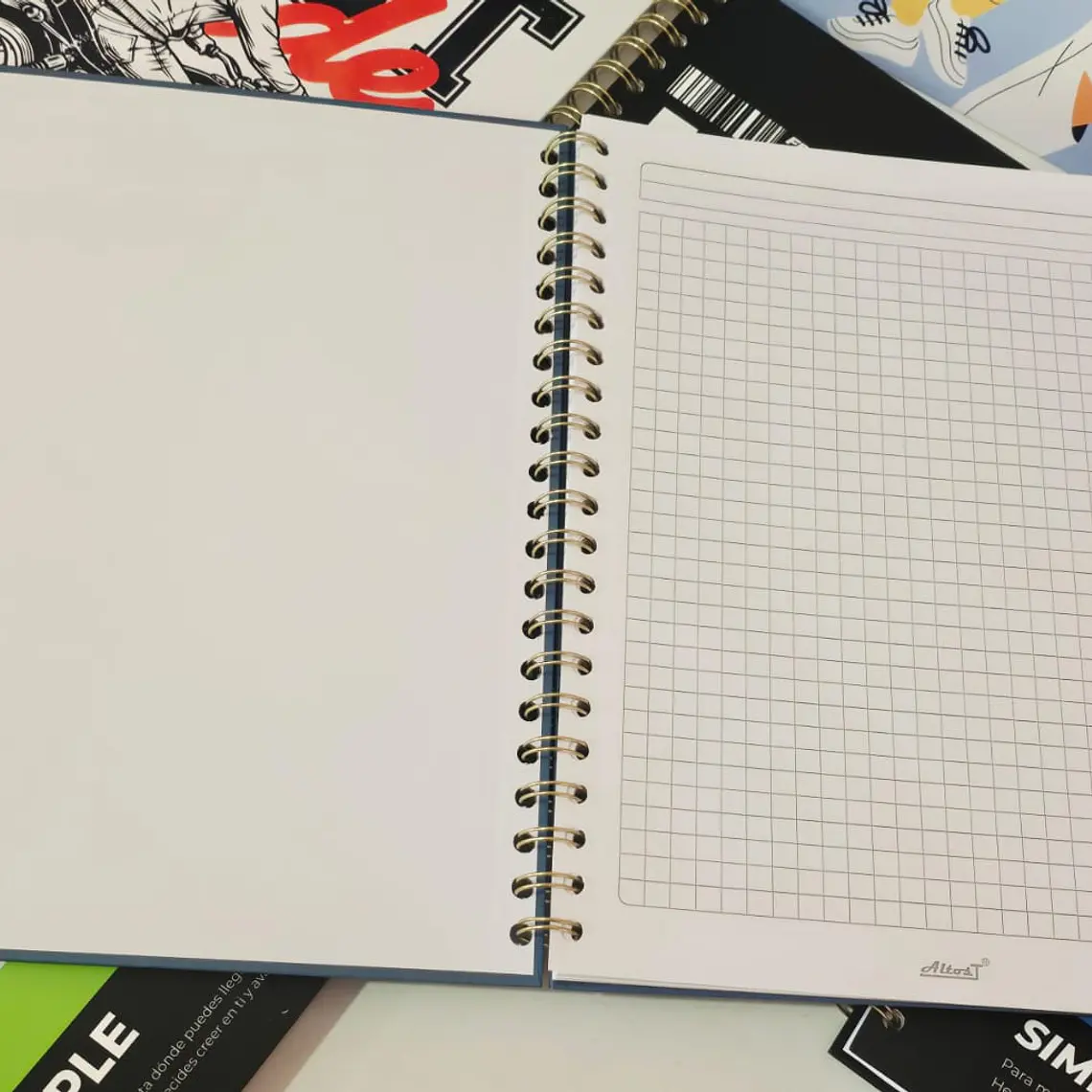 (CUADRO O RAYA) LIBRETA PROFESIONAL 