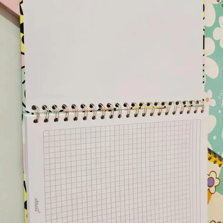 (CUADRO O RAYA) LIBRETA PROFESIONAL 