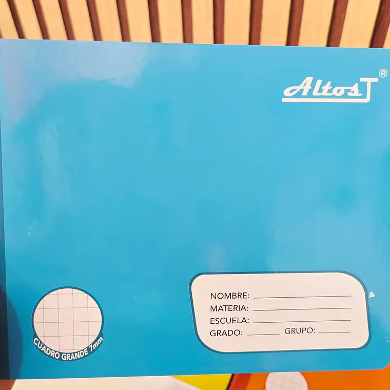 (CUADRO #7) CUADERNO ITALIANO 