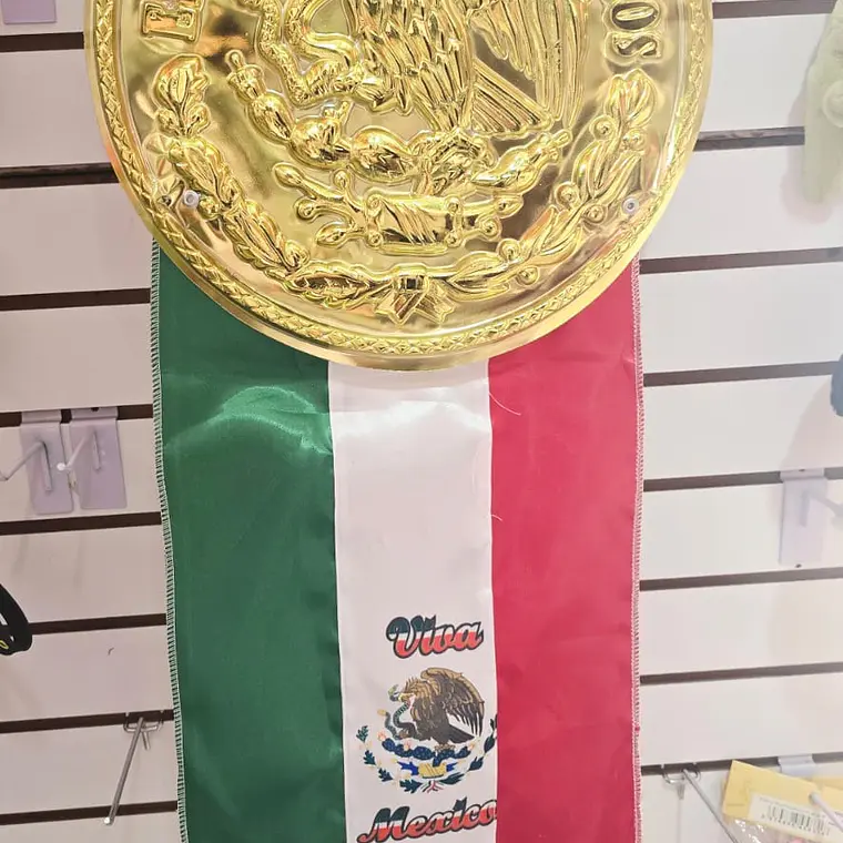 ESCUDO PATRIO CON GALLARDETE MEDIANO O GRANDE 2