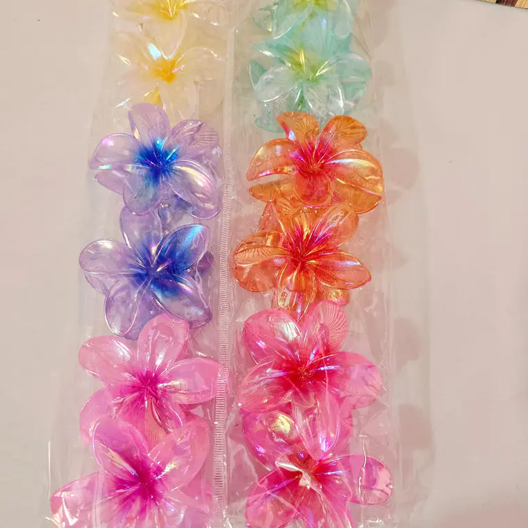 DOCENA DE PINZAS PARA EL CABELLO VARIOS MODELOS 9