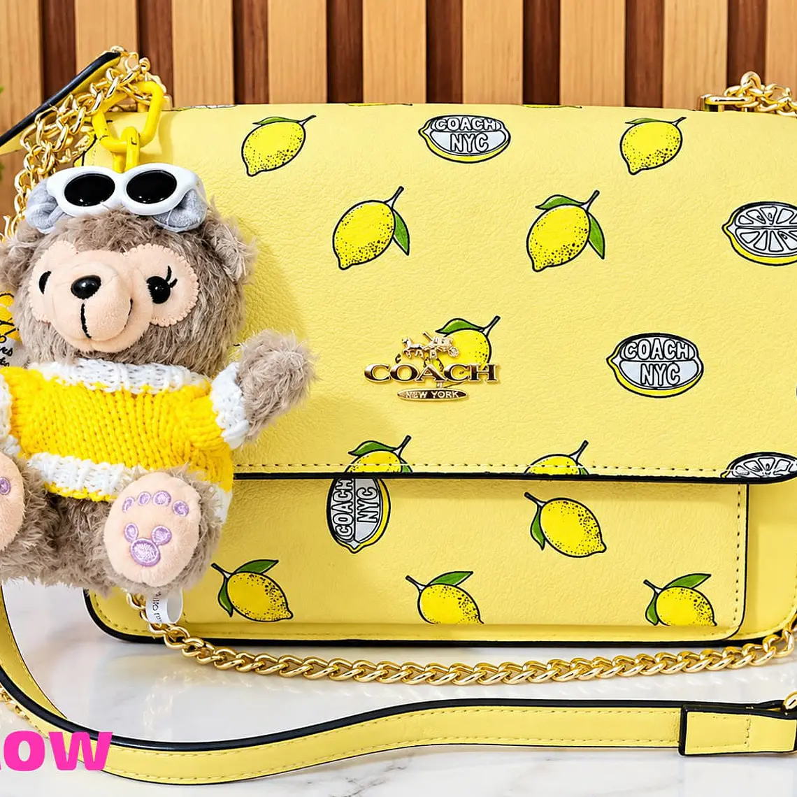 CROSS BODY IMITACIÓN COACH MOD# YDBL10164 9