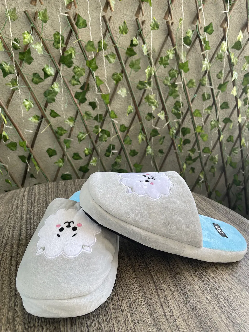 Preventa Pantuflas abiertas BT21 7 miembros 8
