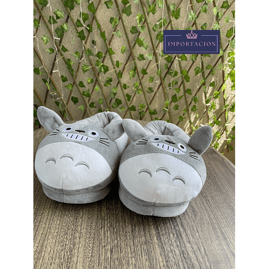 Preventa Pantuflas cerradas Totoro