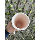 Vaso Tumblr Blanco Doble Capa Starbucks 700ml 3