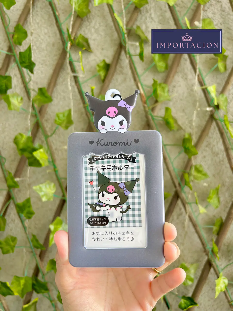 Preventa Llaveros Porta Photocard San Rio 1