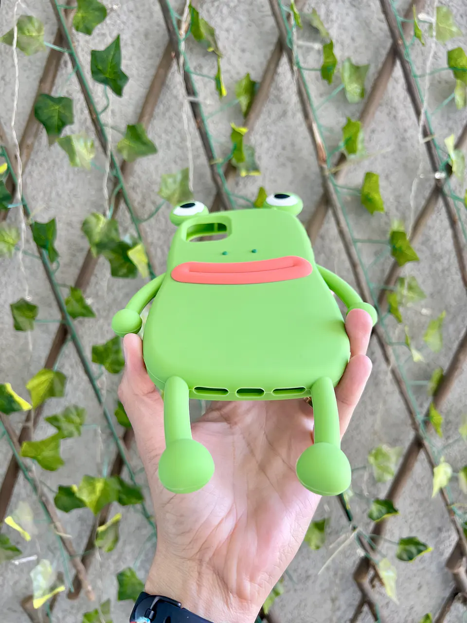 Preventa Carcasa iPhone Rana Hidden Love  3