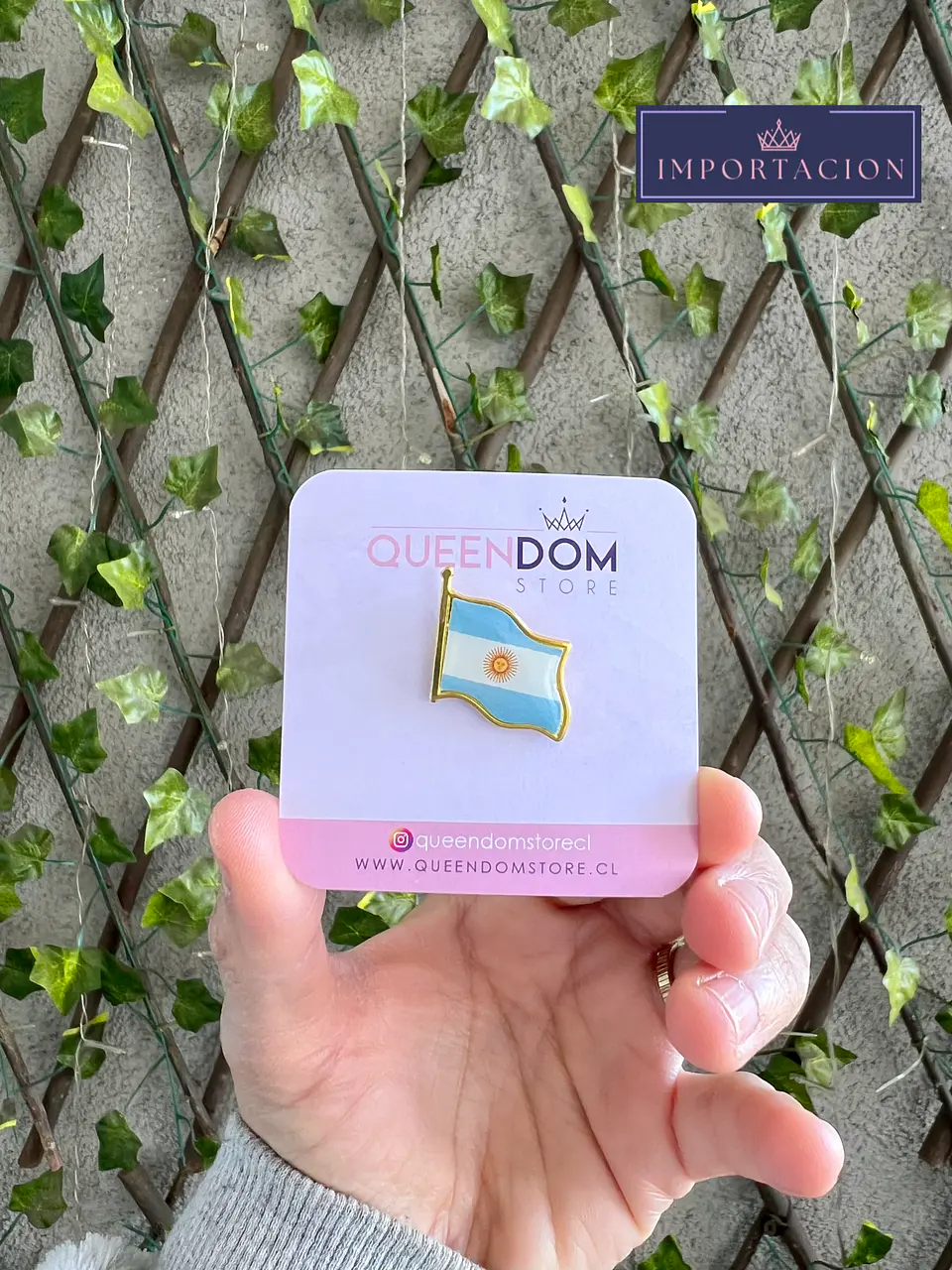 Preventa Bandera Argentina 1