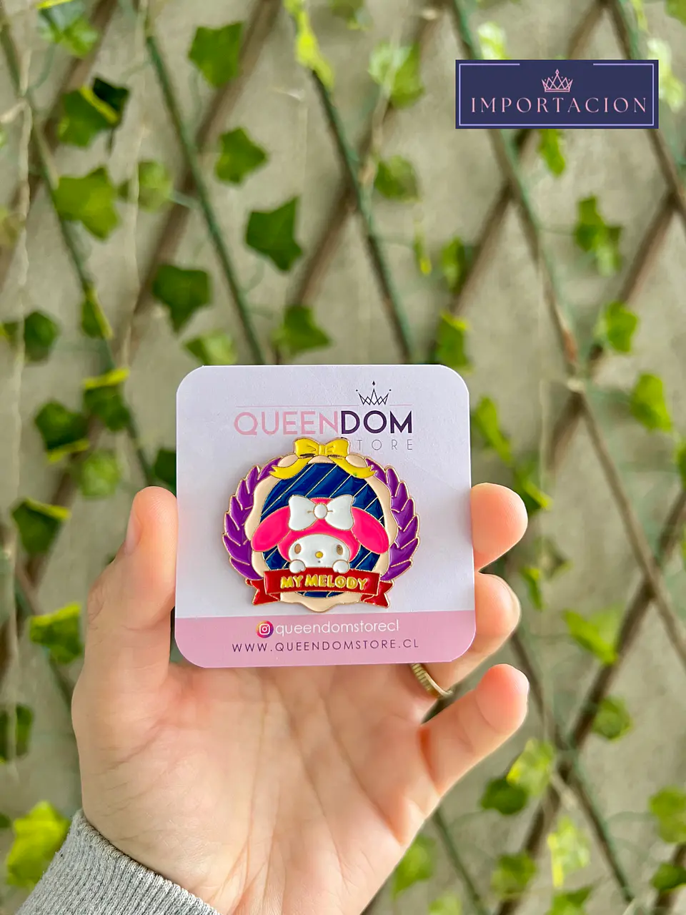 Preventa Pin Personajes San Rio Amigos 3