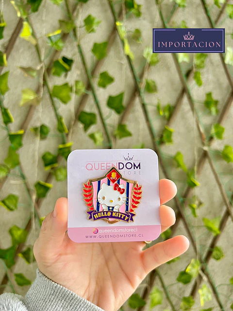 Preventa Pin Personajes San Rio Amigos