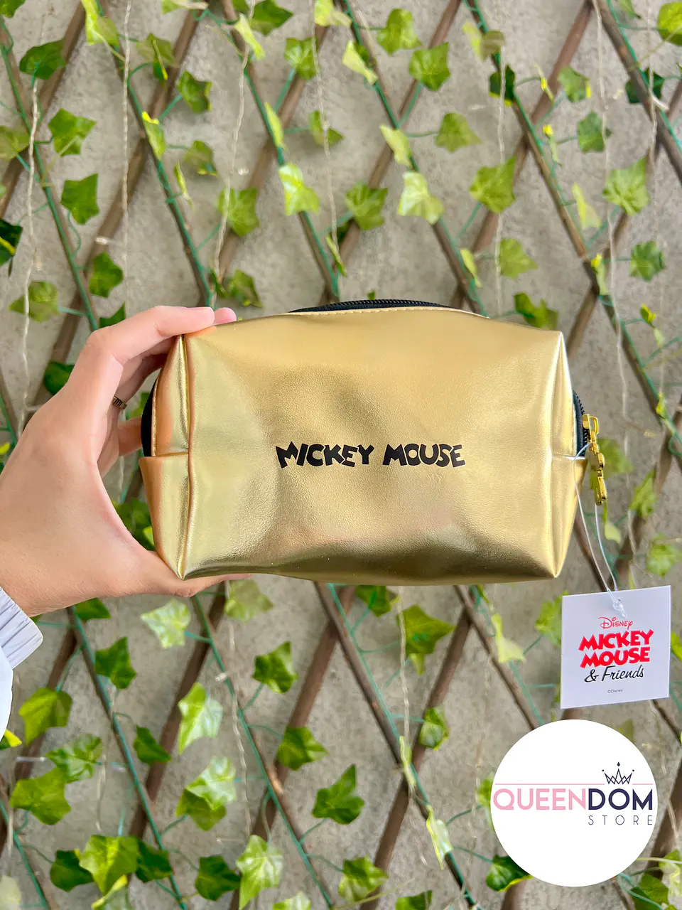 Preventa Estuche Mickey Mouse 5