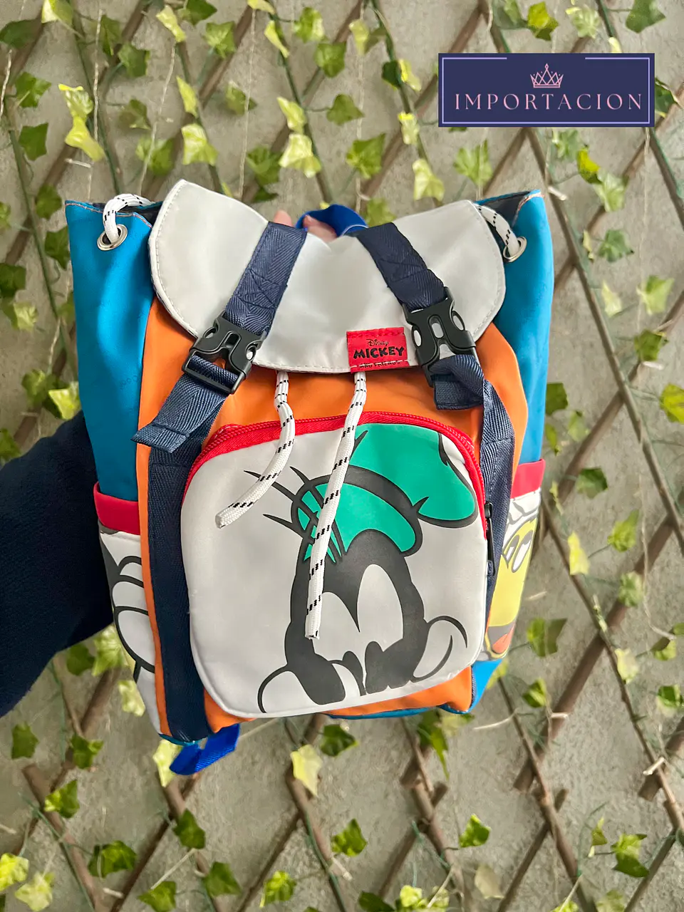 Preventa Mochila Chica Mickey & Friends 1