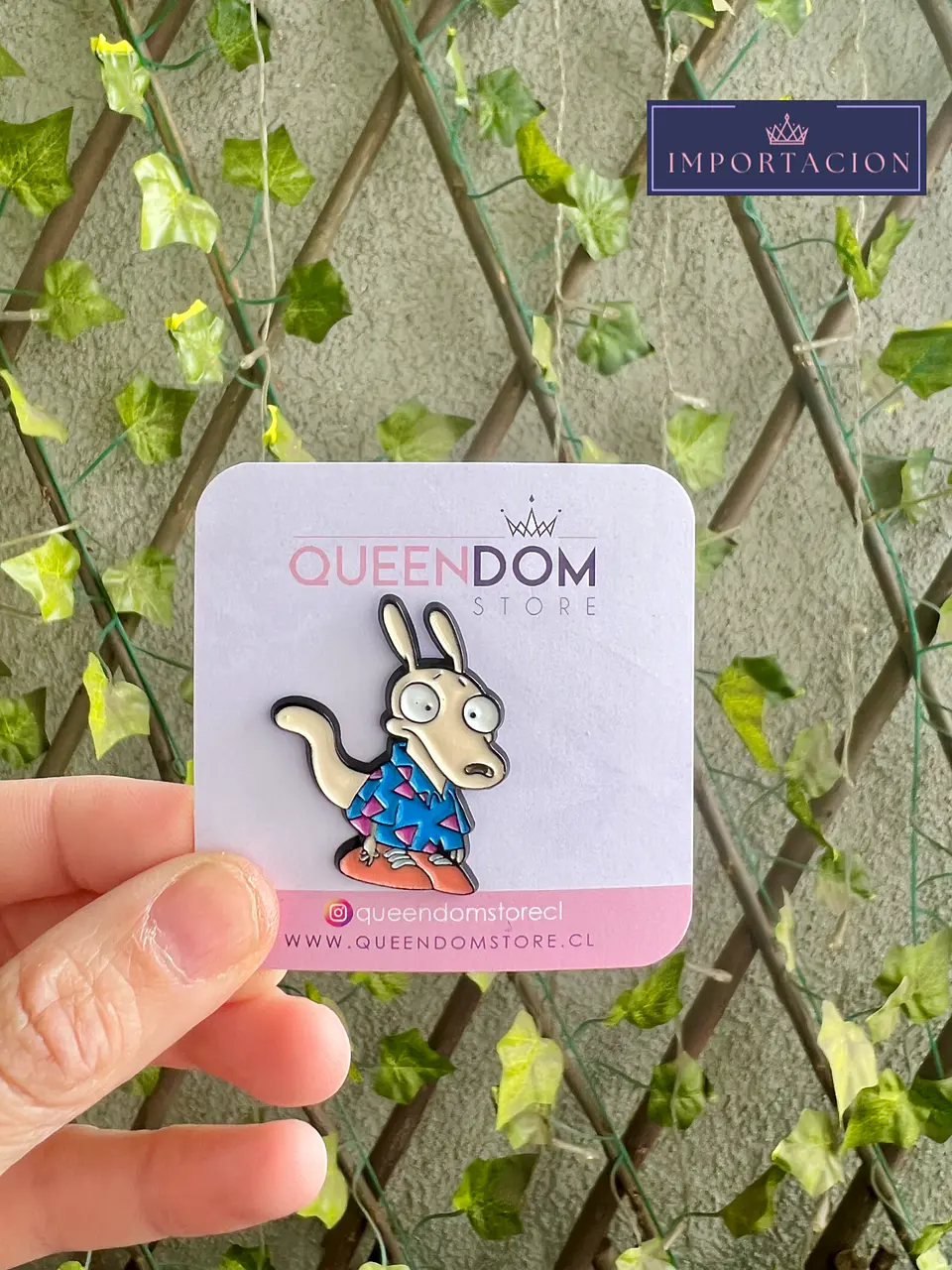 Pin Rocko modern life  1