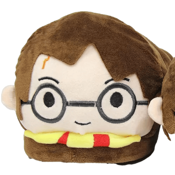 Preventa Pantuflas Cerradas Harry Potter 2