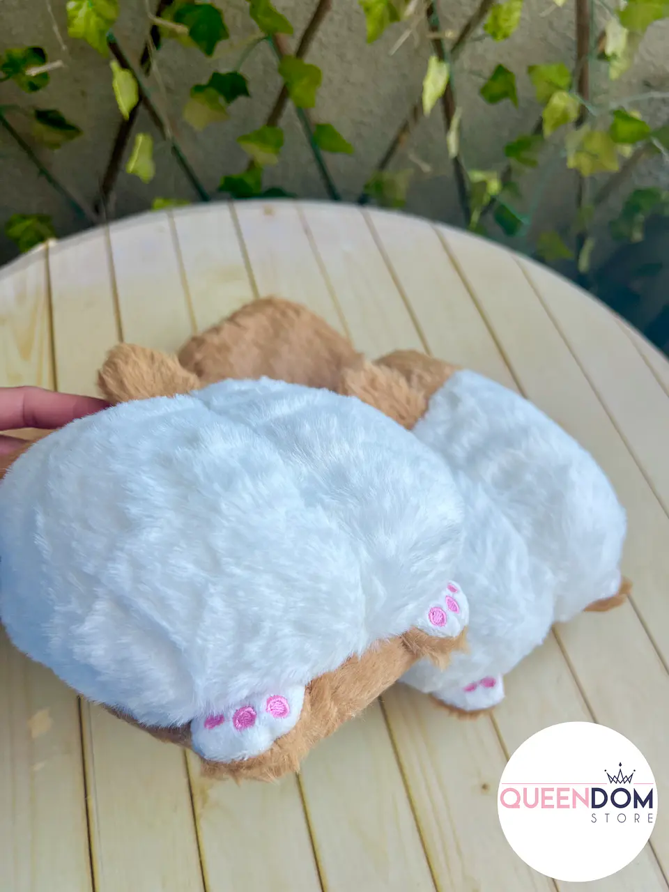 Preventa Pantuflas Abiertas Corgi 3