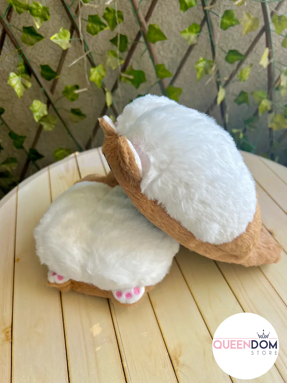 Preventa Pantuflas Abiertas Corgi 4