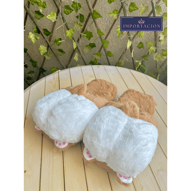 Preventa Pantuflas Abiertas Corgi 1