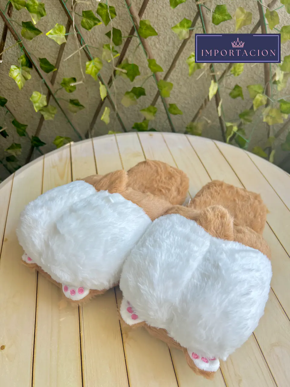 Preventa Pantuflas Abiertas Corgi 1