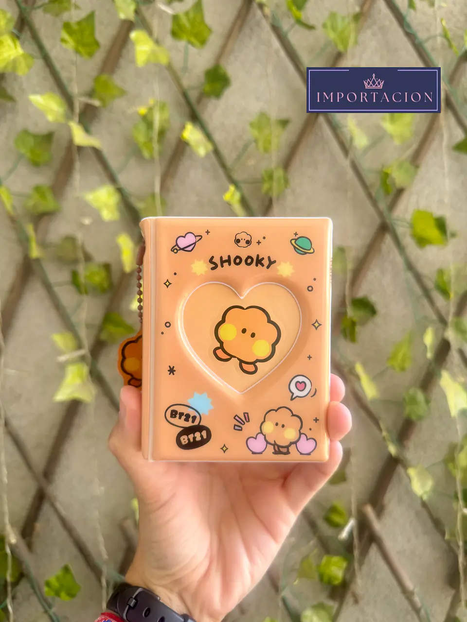 Preventa Binder Para Photocards BT21 6