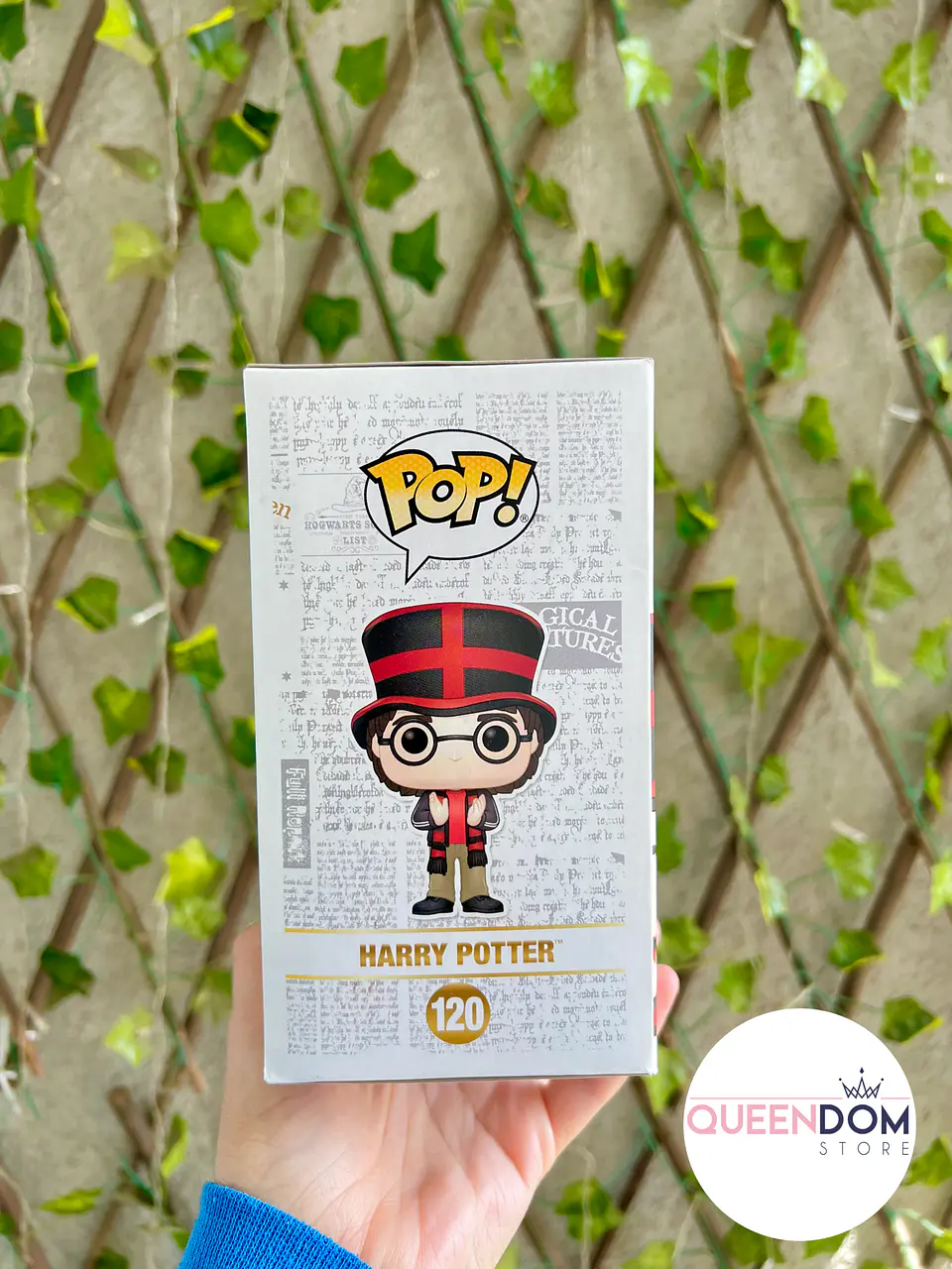 Funko Pop Harry Potter Copa Del Mundo #120 Edicion Especial 2