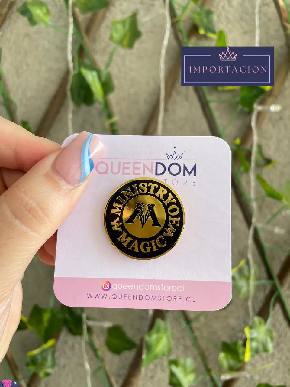 Preventa Pin Saga Harry Potter 6