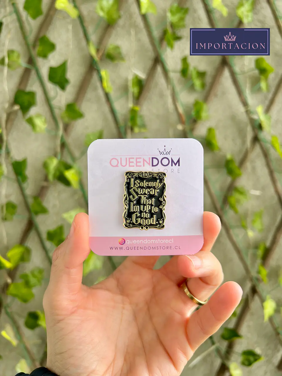 Preventa Pin Saga Harry Potter 8