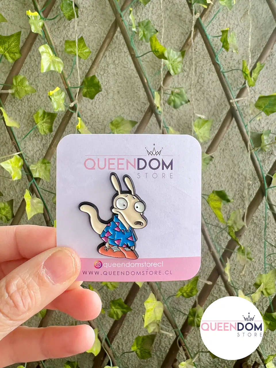 Pin Rocko Modern Life 1