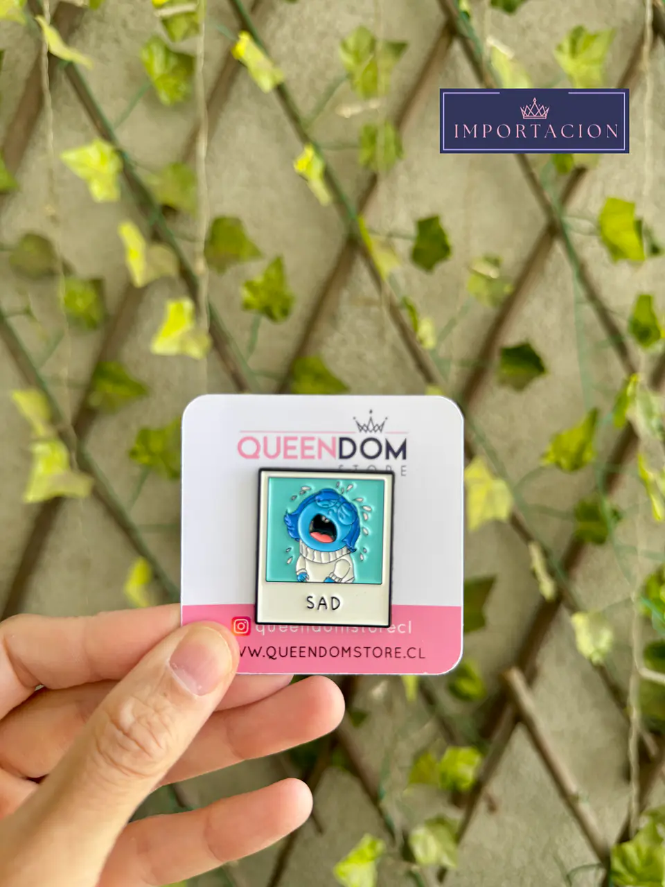 Preventa Pin Intensamente Personajes 1