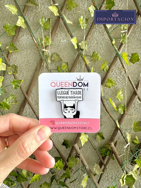 Preventa Pin Gato Llegue tarde