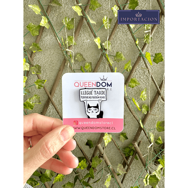 Preventa Pin Gato Llegue tarde 1