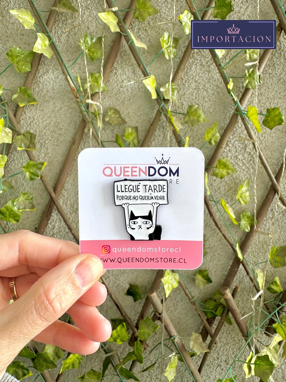 Preventa Pin Gato Llegue tarde 1