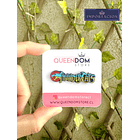 Preventa Pin Thundercats 1