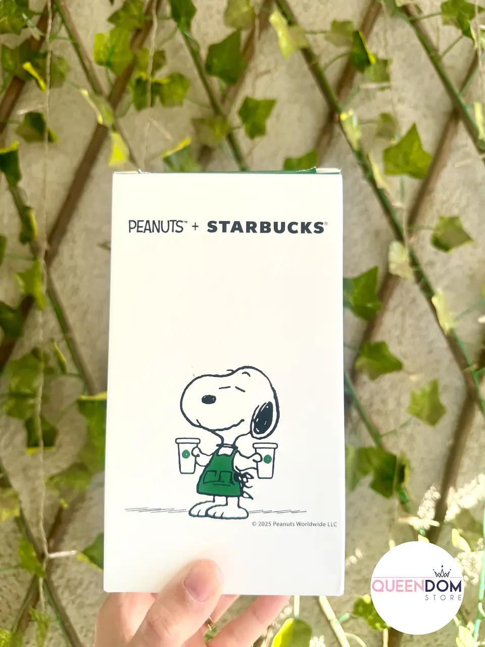 Preventa Vaso Plastico Reutilizable Starbucks + Snoppy colab 473ml 5