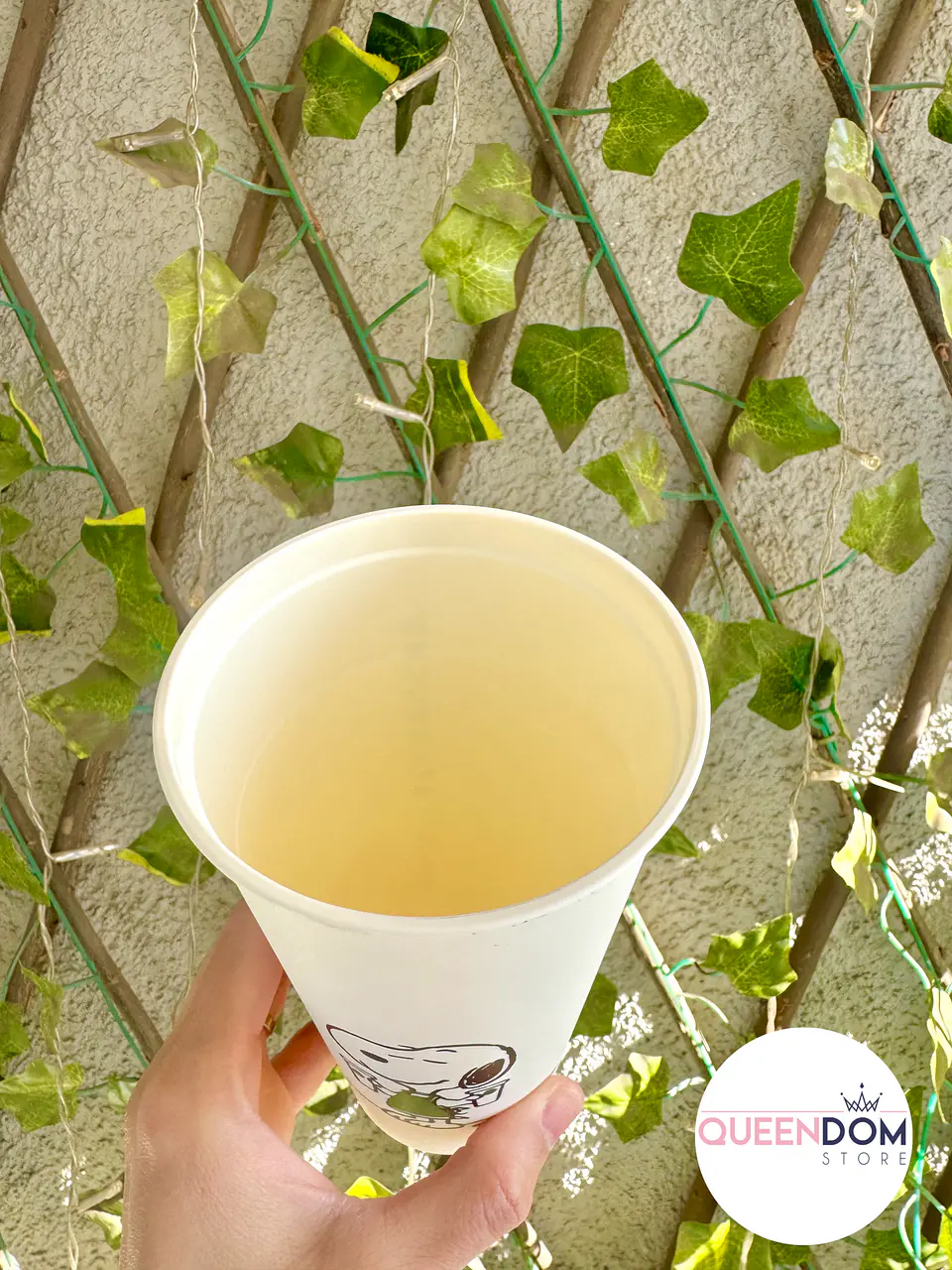 Preventa Vaso Plastico Reutilizable Starbucks + Snoppy colab 473ml 3